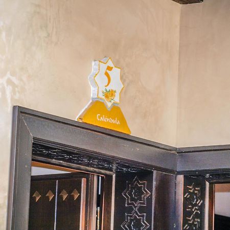 La Esperanza Hotel Alcalá del Valle Eksteriør billede
